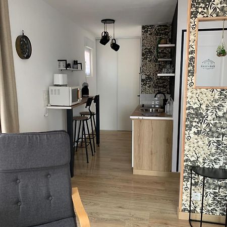 Studio Sable Sur Sarthe Zewnętrze zdjęcie